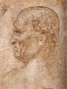 LEONARDO da Vinci Master of the Pala Sforzesca, profile of an old man